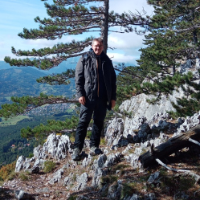 Vladimír Pavlíček