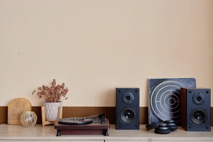 hi-fi reproduktor — ilustrace