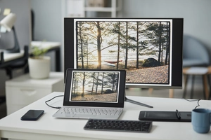 Monitory